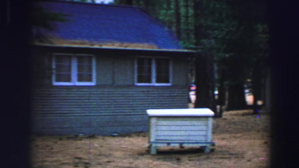 Lake Tahoe cabin exterior in 1969, showing green siding, rectangular windows, pine trees, and a small light-colored outdoor utility box.