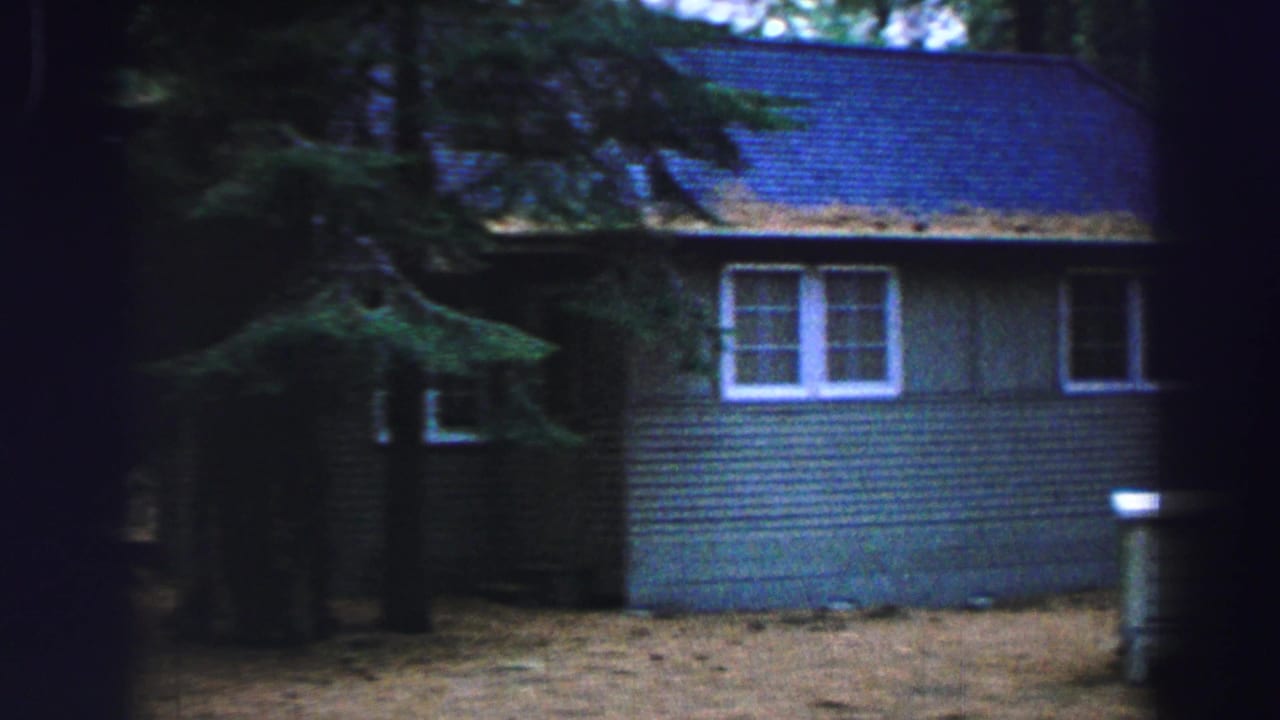 Small cabin with a blue roof among tall evergreen trees in a forest clearing.