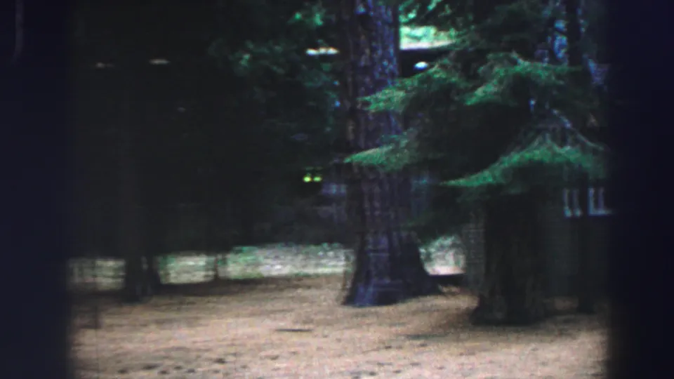 Lake Tahoe forest clearing during a 1969 8mm pan, with tall tree trunks, open ground, and a cabin edge barely visible at right.