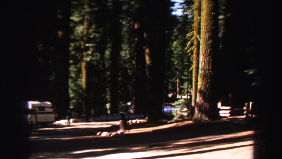 1969 Lake Tahoe forest road scene with large conifer trunks, a camper-like vehicle, and parked cars in deep shade.