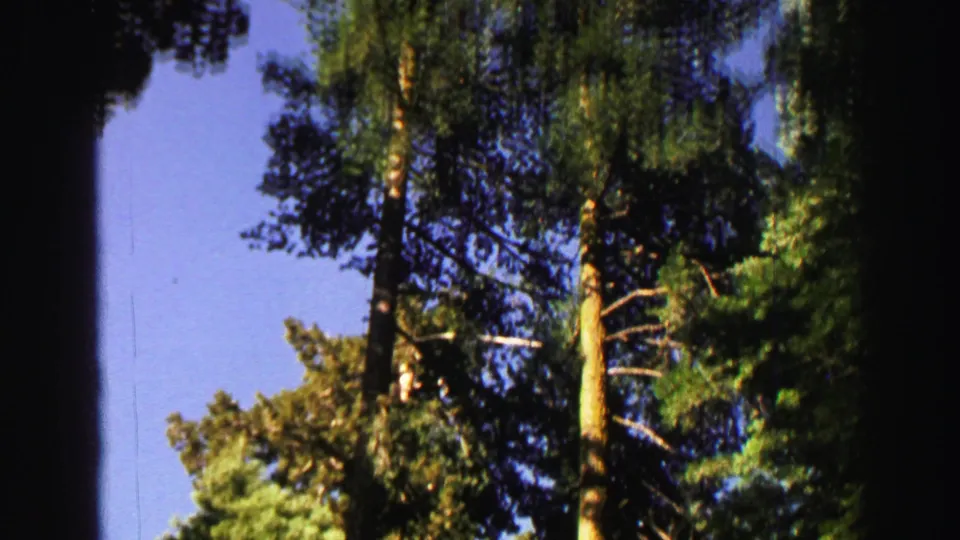 Lake Tahoe home-movie frame with tall conifers, bright green needles, and clear blue sky, bordered by the 8mm film frame.