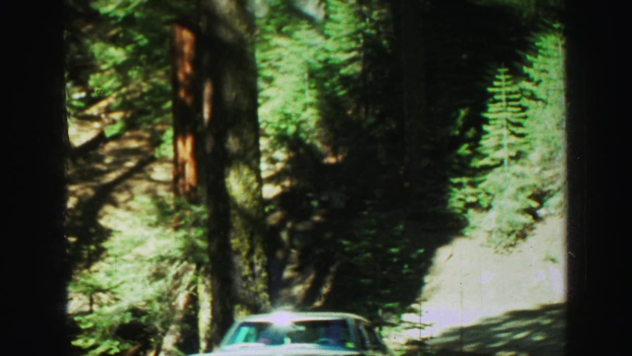 A car partly visible below tall trees and dark film edges.