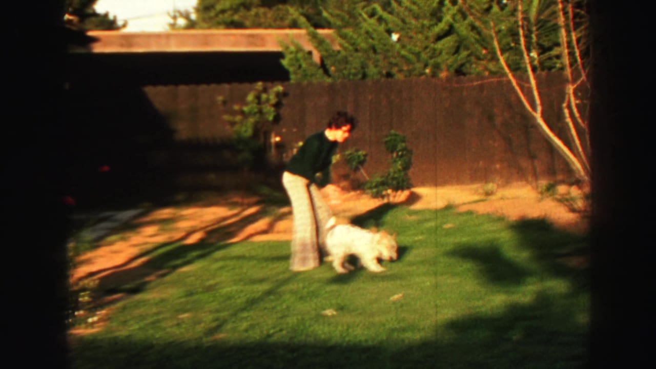 In a Lake Tahoe backyard, a person in light pants bends toward a small white dog on green grass near a wooden fence.