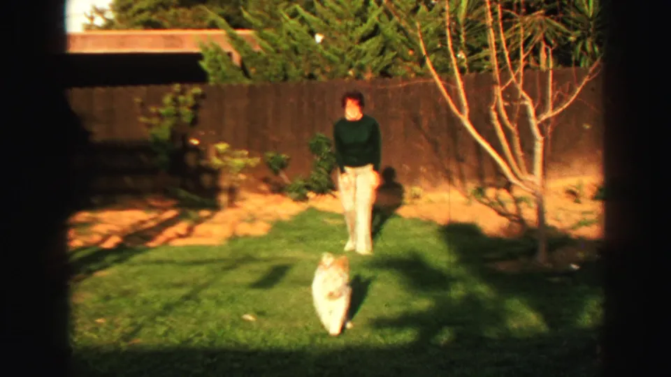 A small white dog moves across a sunlit Lake Tahoe lawn while a person stands behind near the fence and trees.
