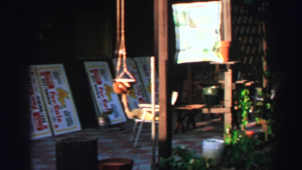 Dim open space with propped sale signs, potted plants, stools and hanging macrame holders.