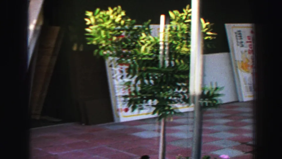 Lake Tahoe sidewalk detail showing a potted tree, vertical posts, and partially visible for sale signs in 1969 8mm footage.