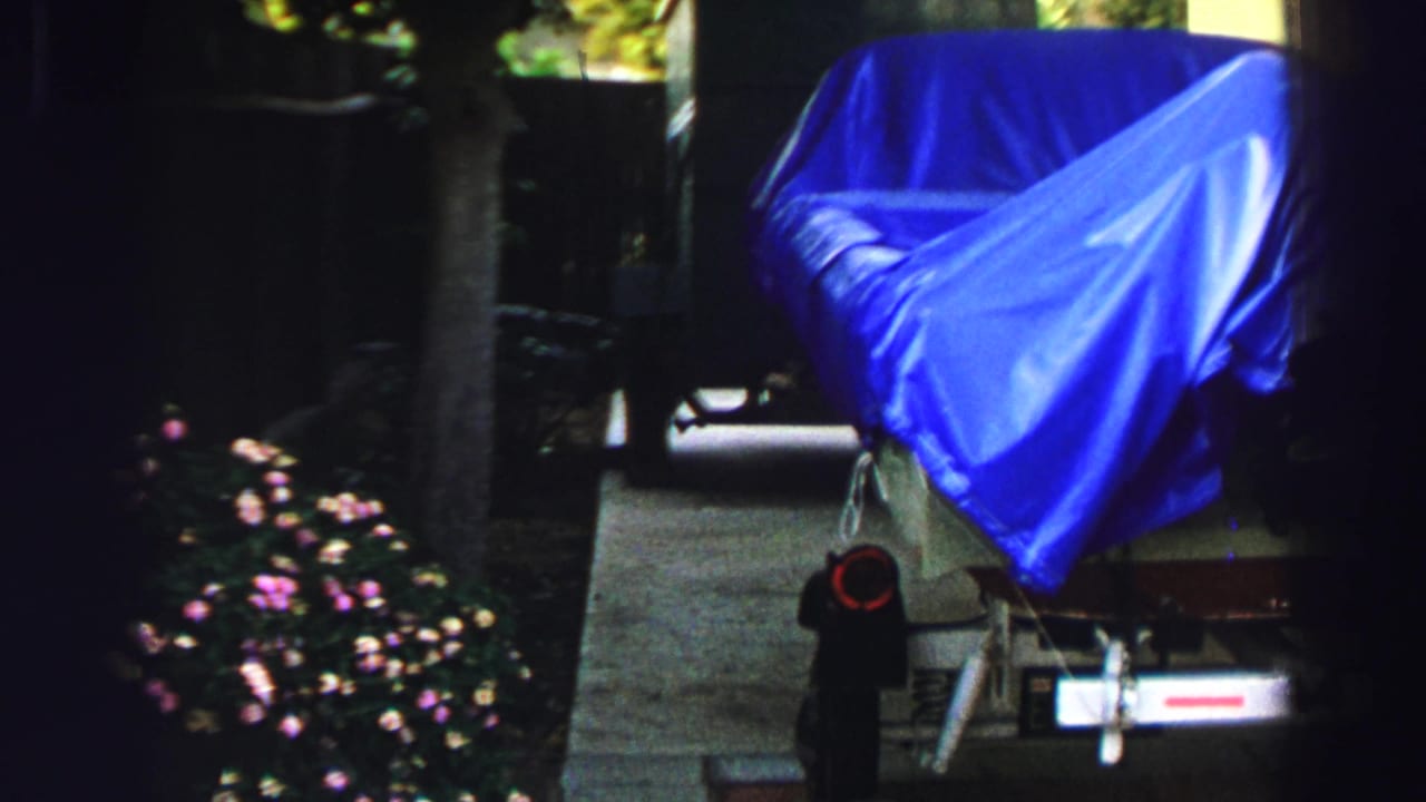 Blue-tarp-covered boat and trailer seen from a slightly different angle near trees.