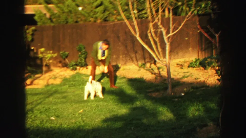 1969 Lake Tahoe backyard frame showing a man in a green sweater bending toward a small white dog on a sunlit lawn.