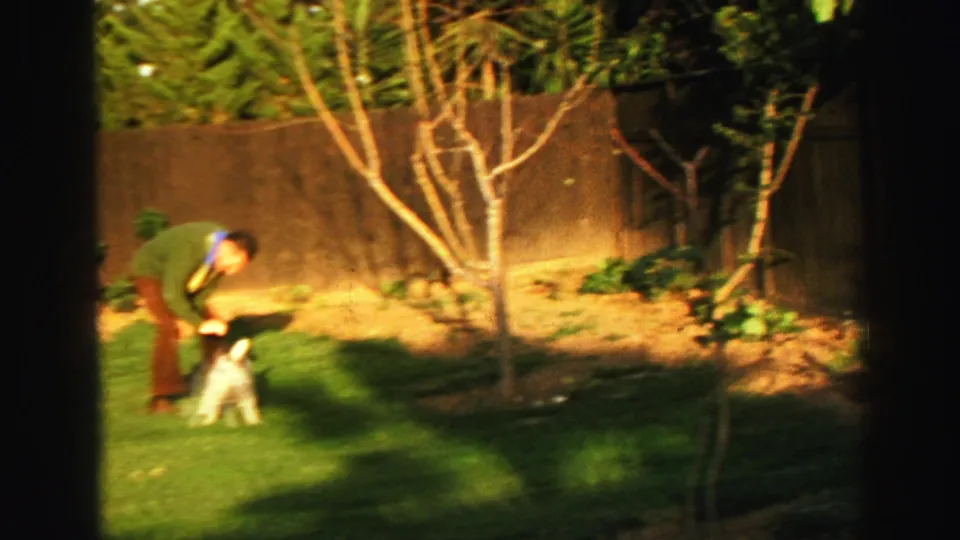 1969 Lake Tahoe 8mm frame of a man playing with a small white dog in a fenced backyard under warm sunlight.