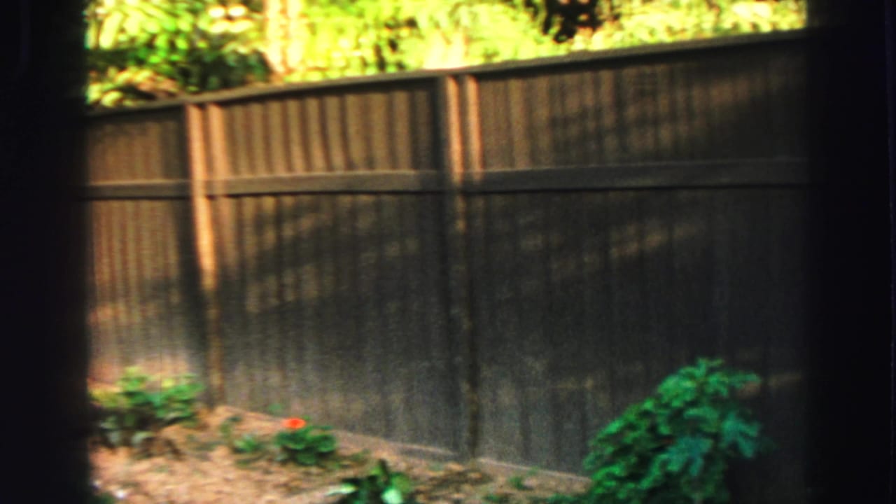 Wooden fence and garden bed seen through dark vertical frame edges.