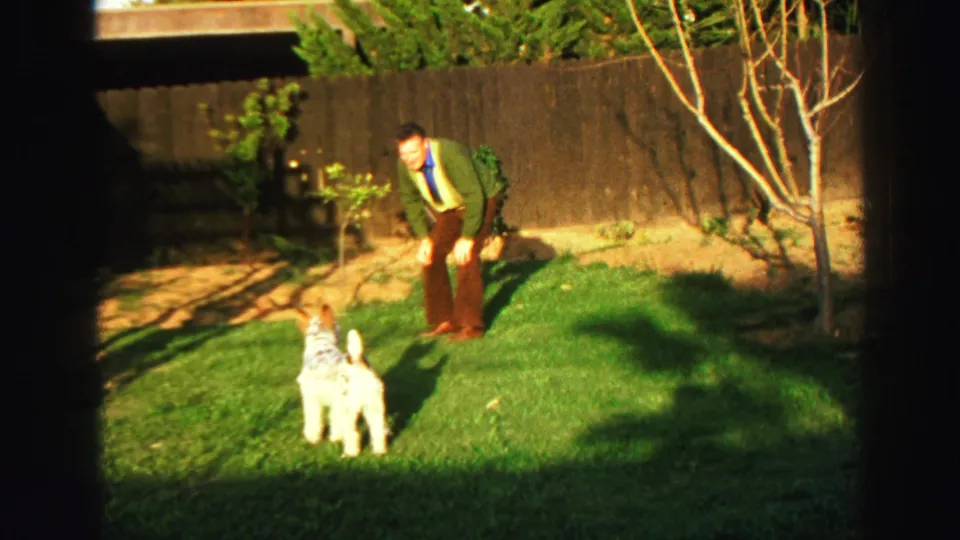 1969 Lake Tahoe backyard frame showing an adult man leaning toward a small white dog beside a tree and wooden fence.