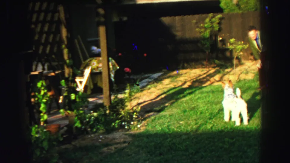 1969 Lake Tahoe backyard view with a shaggy white dog standing in sunlight near a covered patio and garden area.