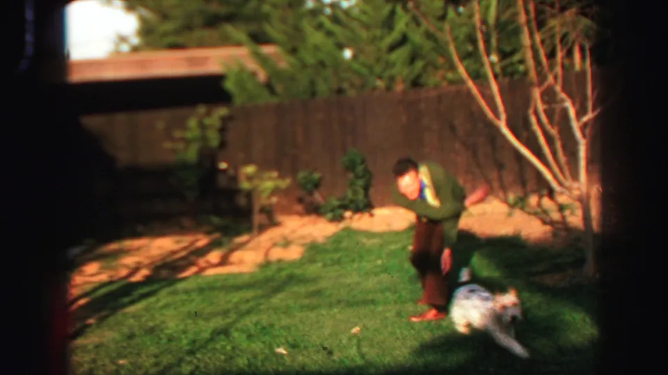 1969 Lake Tahoe 8mm frame of a man in a green sweater bending toward a small white dog on a sunlit lawn by a wooden fence.