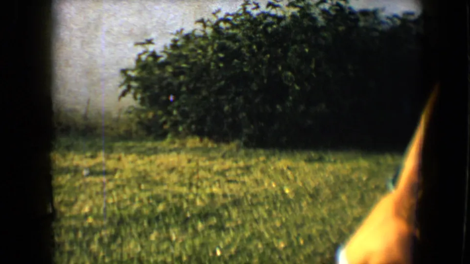 During the cartwheel, the camera catches the lawn, shrubs, wall, and a partial raised leg at the edge of frame.