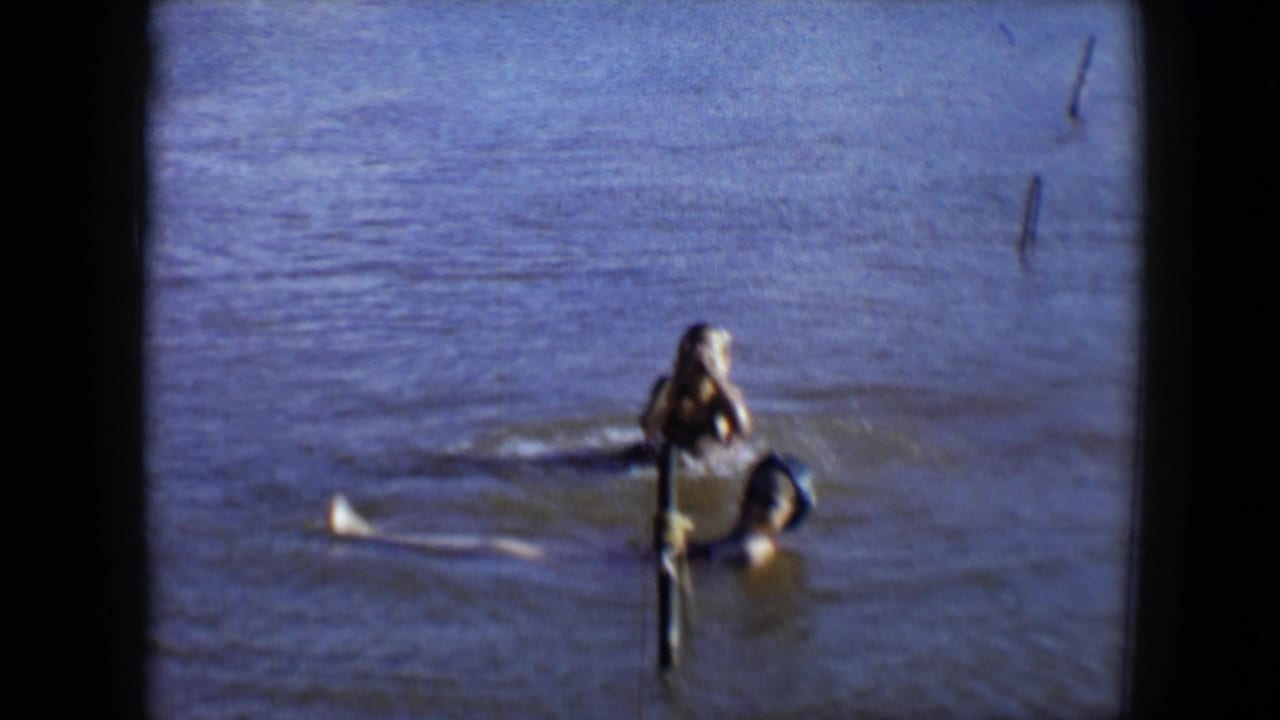 Two swimmers appear in the lake at Disneyland, with one near a post and another floating nearby in sunlit water.