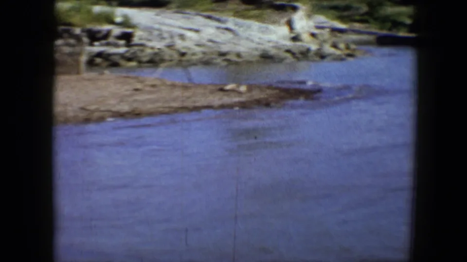 The frame looks toward a muddy Disneyland lakeshore with rocks and shallow blue water, with figures no longer clearly centered.