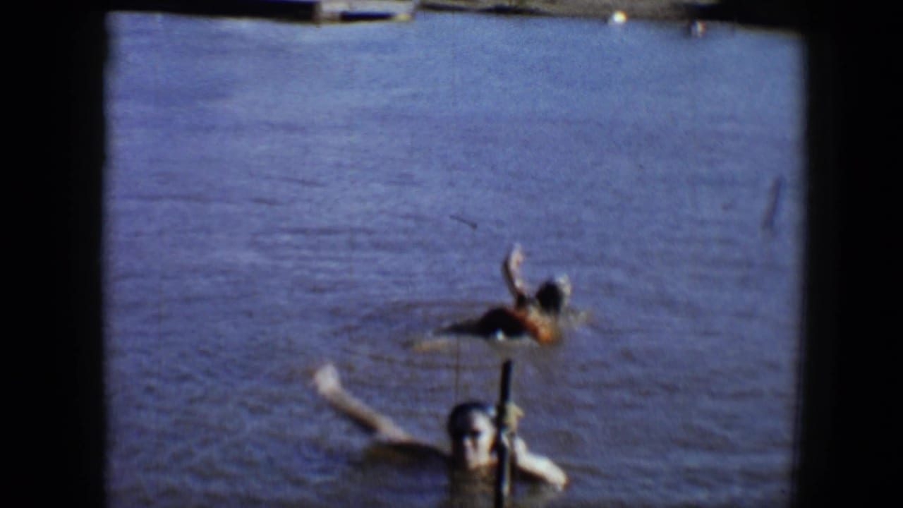 Two swimmers in calm water, with a vertical wooden post near the foreground.