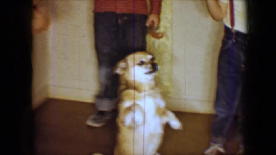 In the 1959 home-movie frame, a small dog sits upright on hind legs while adults stand nearby in a private room.