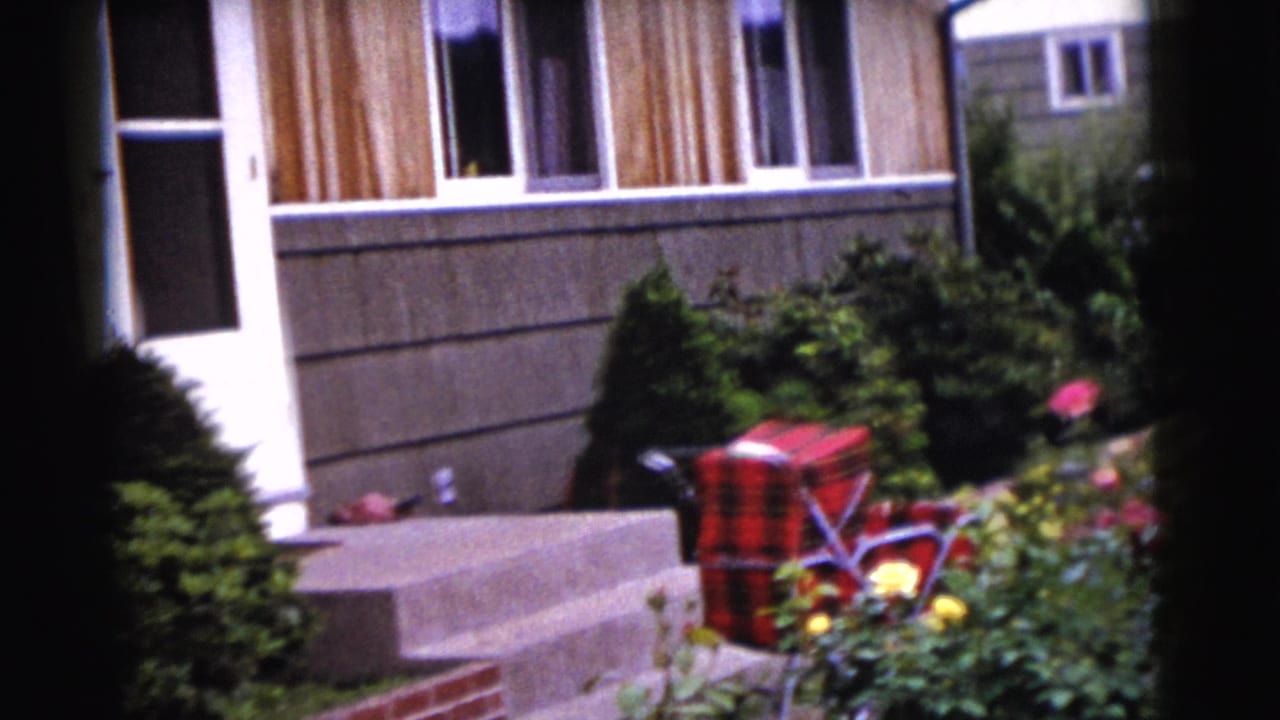 House steps, shrubs, flowers, and a red plaid cooler beside a suburban exterior.