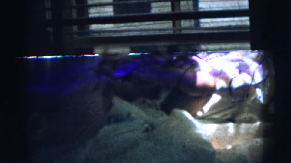 A person appears in a dim Gary, Indiana home interior, partly obscured by shadows and window framing while holding a glass bottle.