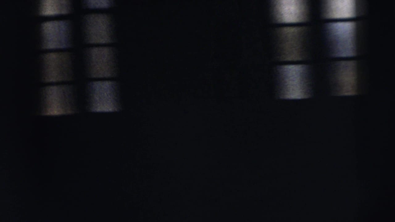 Dark interior with barred window panes and indistinct silhouetted forms.