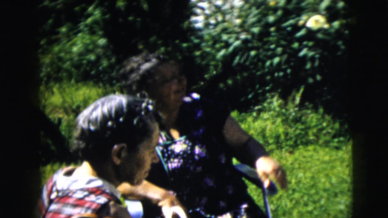 Two adult women at a 1962 Moline garden reunion talk closely on a sunlit lawn, with shrubs and flowers behind them.