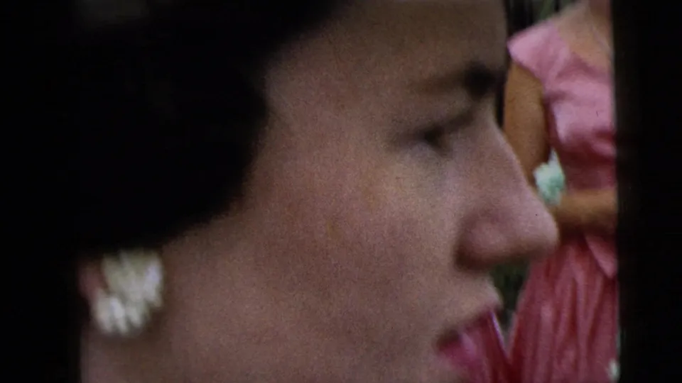 Close side view of a woman with dark hair, pearl earring, and pink lipstick, with another formal dress partly visible behind her.