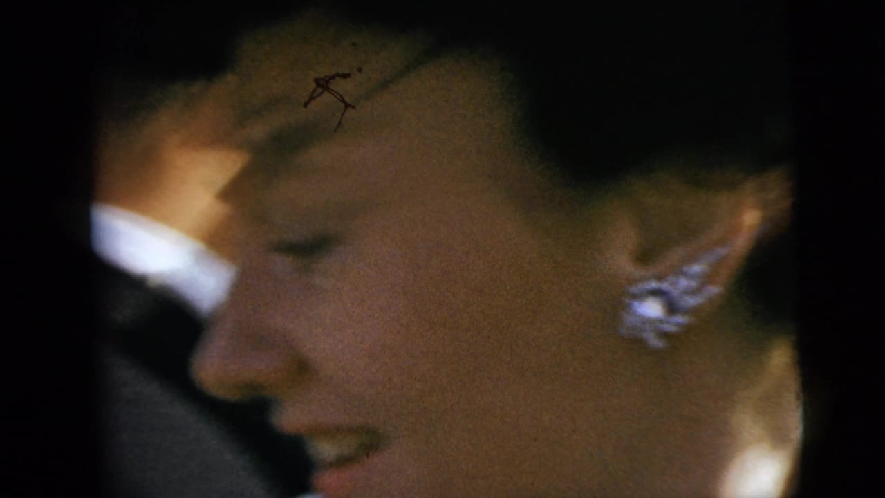 Woman in a dark hat and veil smiling in close-up beside a car window.
