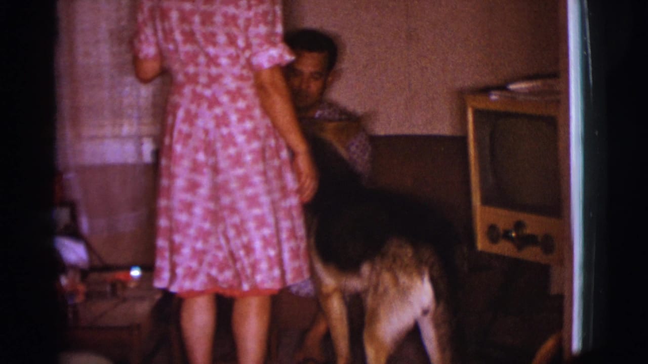 Woman stands beside a couch while a man sits near a German Shepherd and a television set.