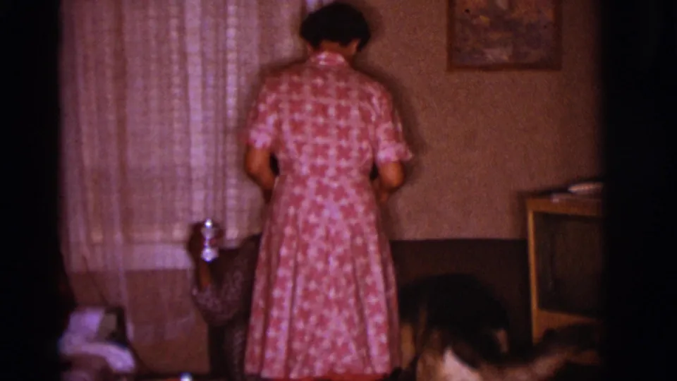A woman in a pink patterned dress stands in a 1966 Clarkdale living room while a German Shepherd moves near a couch and retro television.