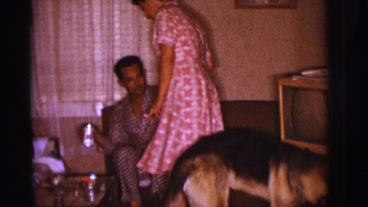 1966 Clarkdale living-room frame showing the woman beside the seated man as a dog moves across the foreground near the television.