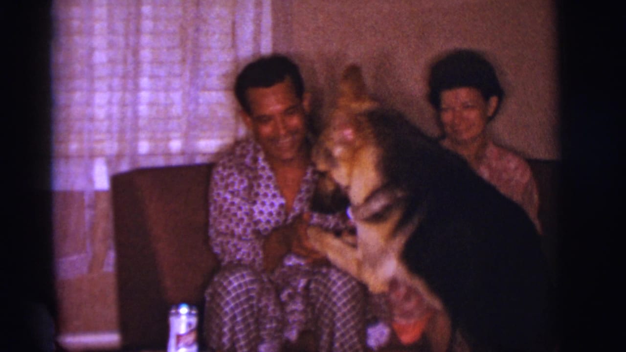 German Shepherd stands close to a smiling man while a woman sits beside them.