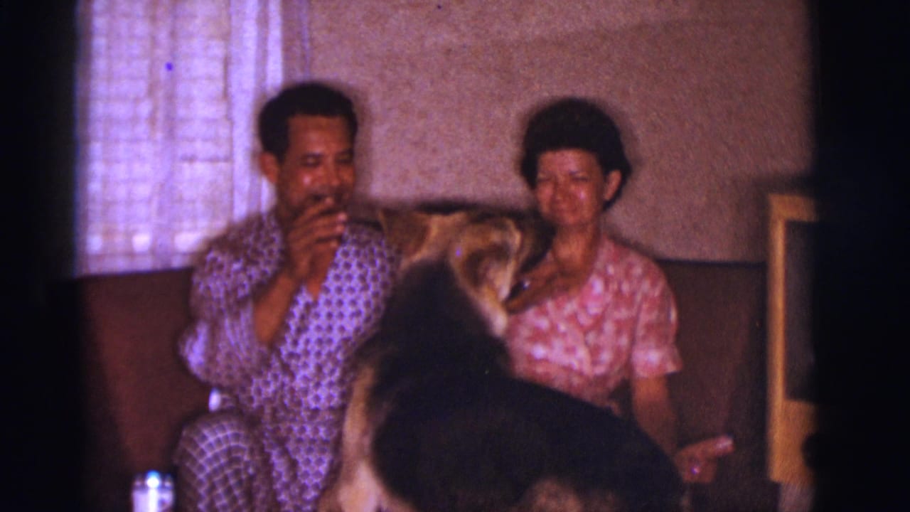 Man and woman sit on a couch as a German Shepherd stands in front of them.
