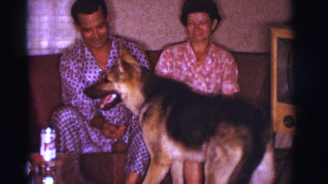 German Shepherd stands beside a seated man and woman in a living room.