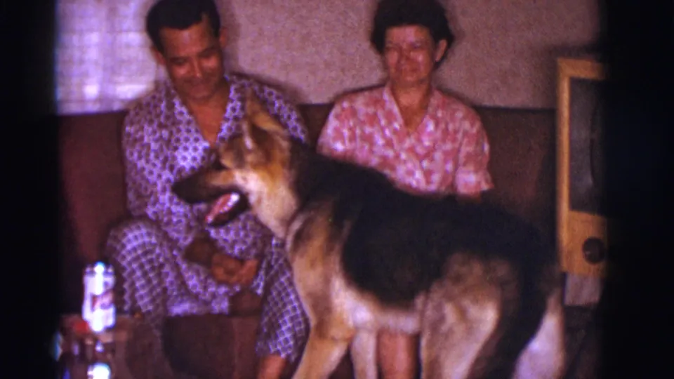 The German Shepherd faces across the room while the seated adults watch from a couch in the Clarkdale home interior.