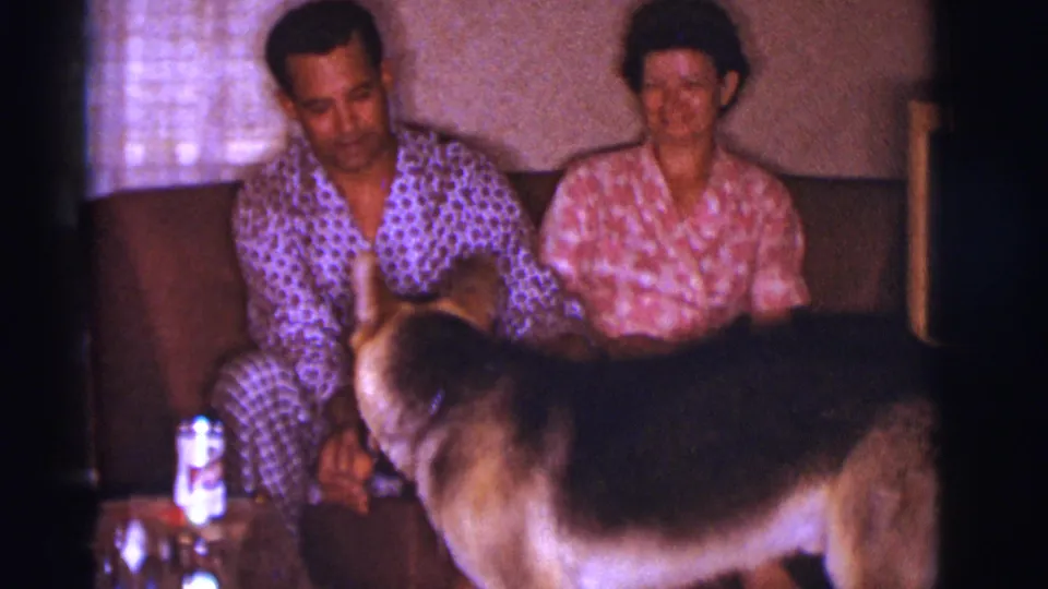 A home-movie frame shows the German Shepherd passing close to the camera while the adults sit together on the couch.