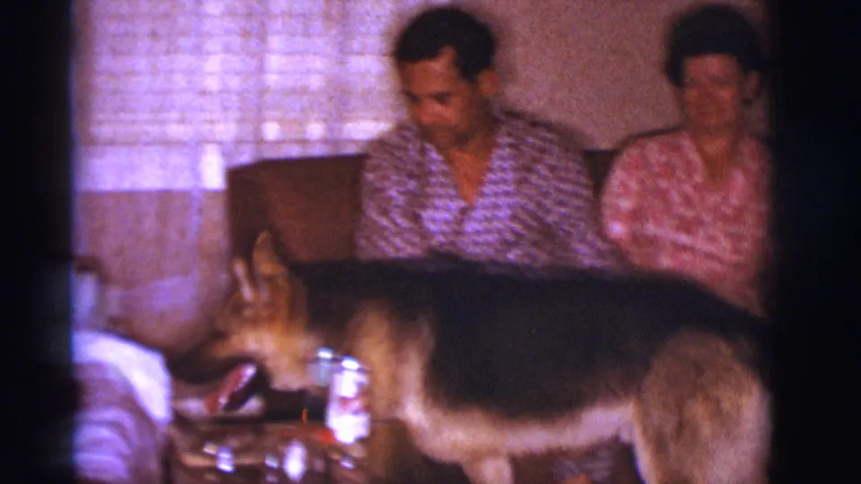 The dog moves across the lower frame in front of the couch, with the man, woman, table can, and interior furnishings visible behind it.