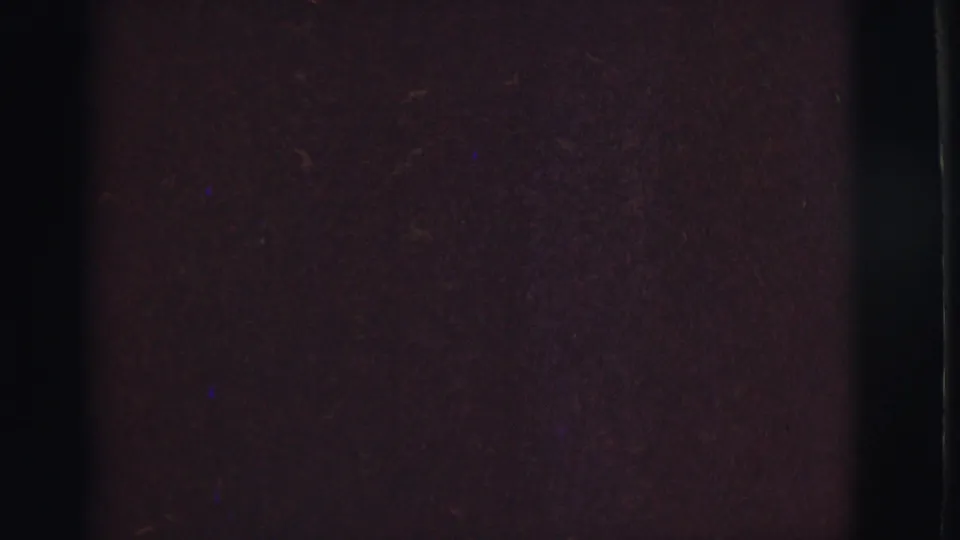 1966 Clarkdale home-movie frame with a man lying on a floral sofa, partially visible beside a dark film area.