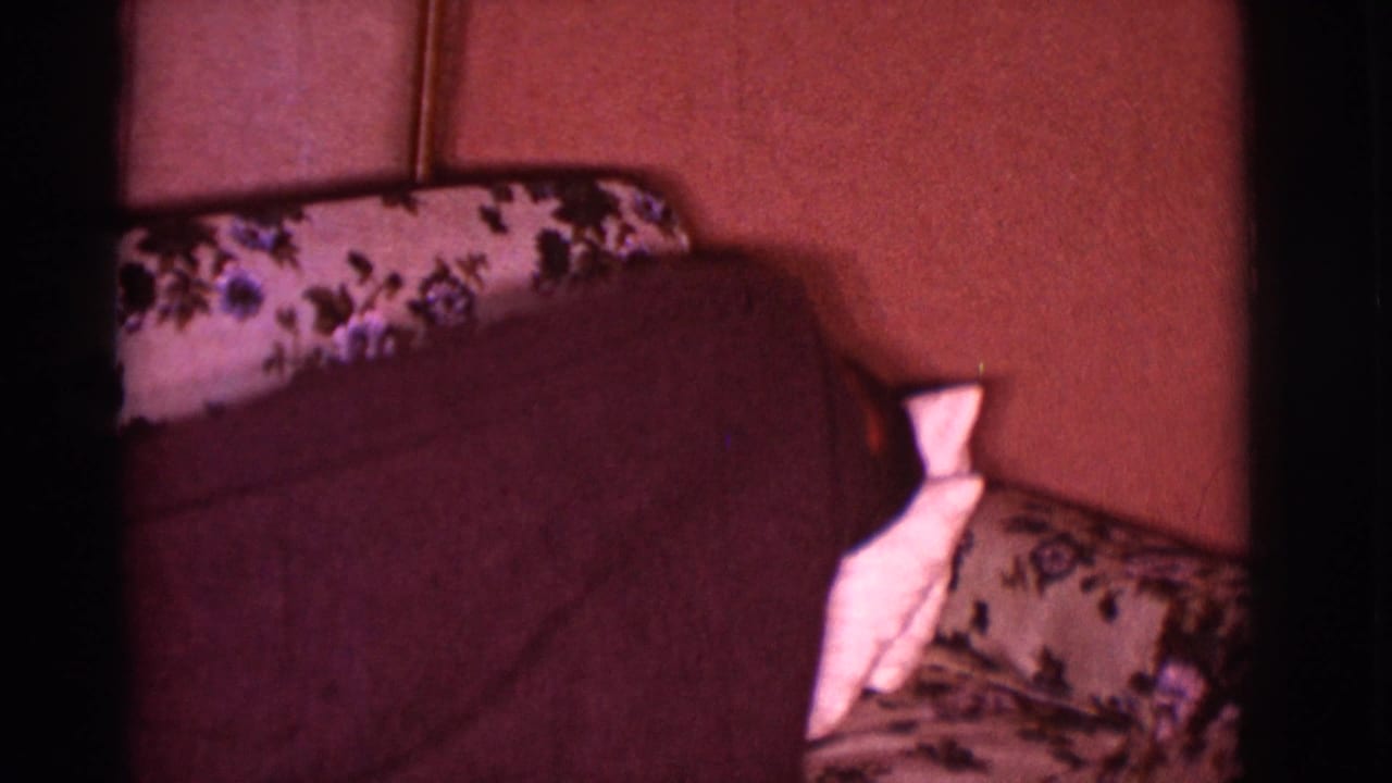 The sleeper is mostly hidden beneath a dark blanket on a floral couch in the Clarkdale home interior.