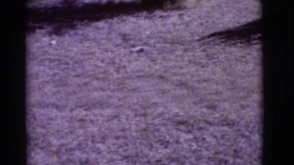 A soft, purple-shifted 8mm view of dry open ground in the Clarkdale campsite setting, with no people visible.