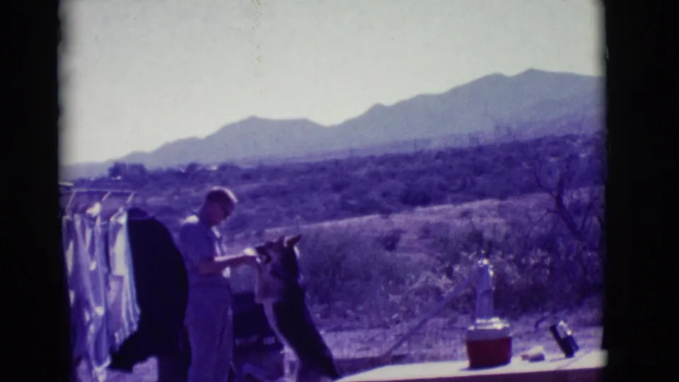 The dog jumps toward the man's hand near the clothesline, with a cooler on a table and Arizona desert mountains in the background.