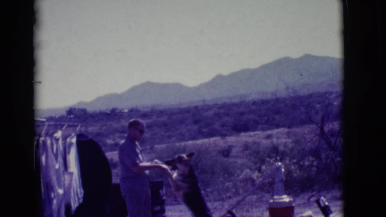 Man in light clothing bends toward a German Shepherd beside a clothesline in a desert yard.