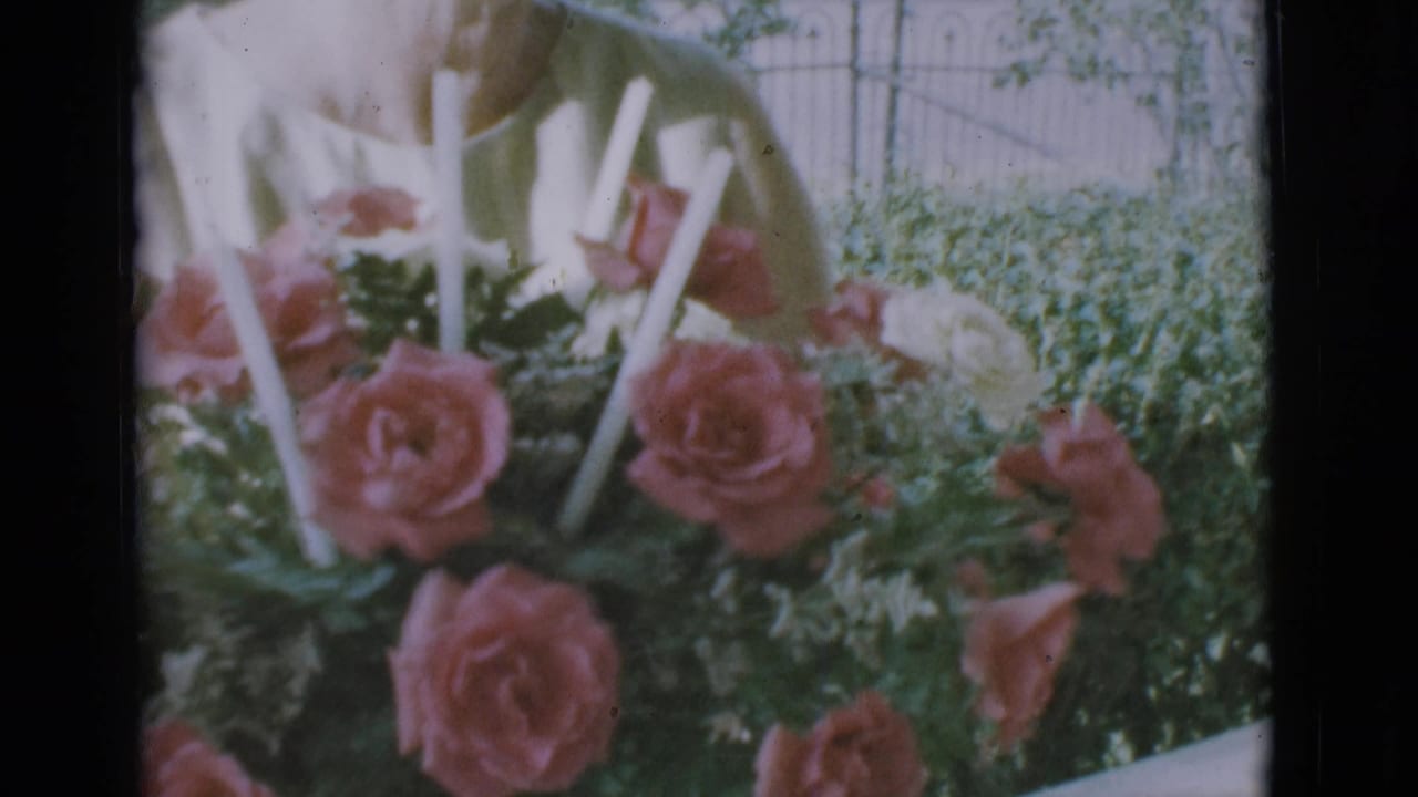 Pink roses and greenery in a floral arrangement, with a partial hand or arm near pale stems.