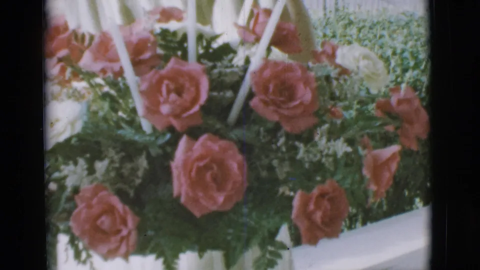 Close 1966 Clarkdale frame of a floral arrangement with pink roses, white blooms, fern-like greenery, and pale upright stems.
