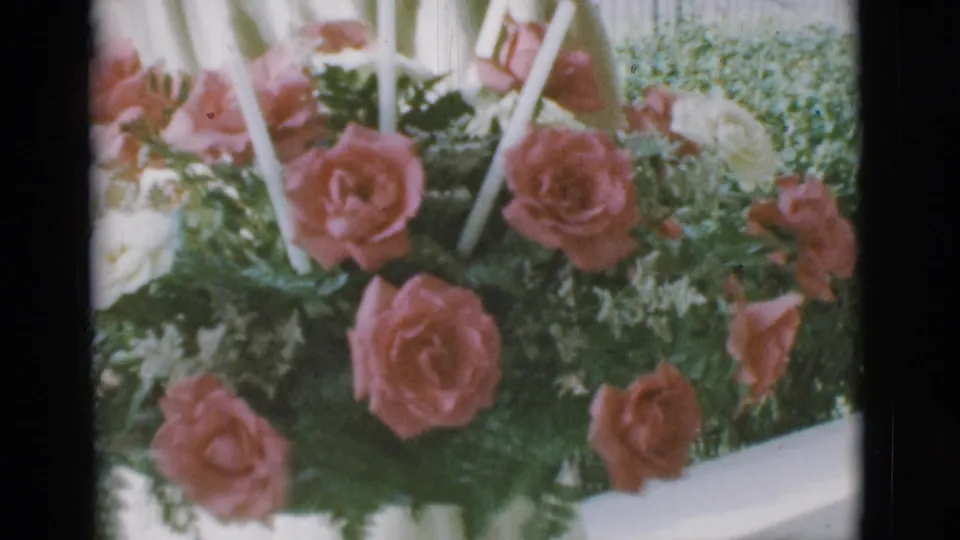 1966 Clarkdale home-movie frame showing a rose arrangement in soft daylight, with a partial person visible near the flowers.