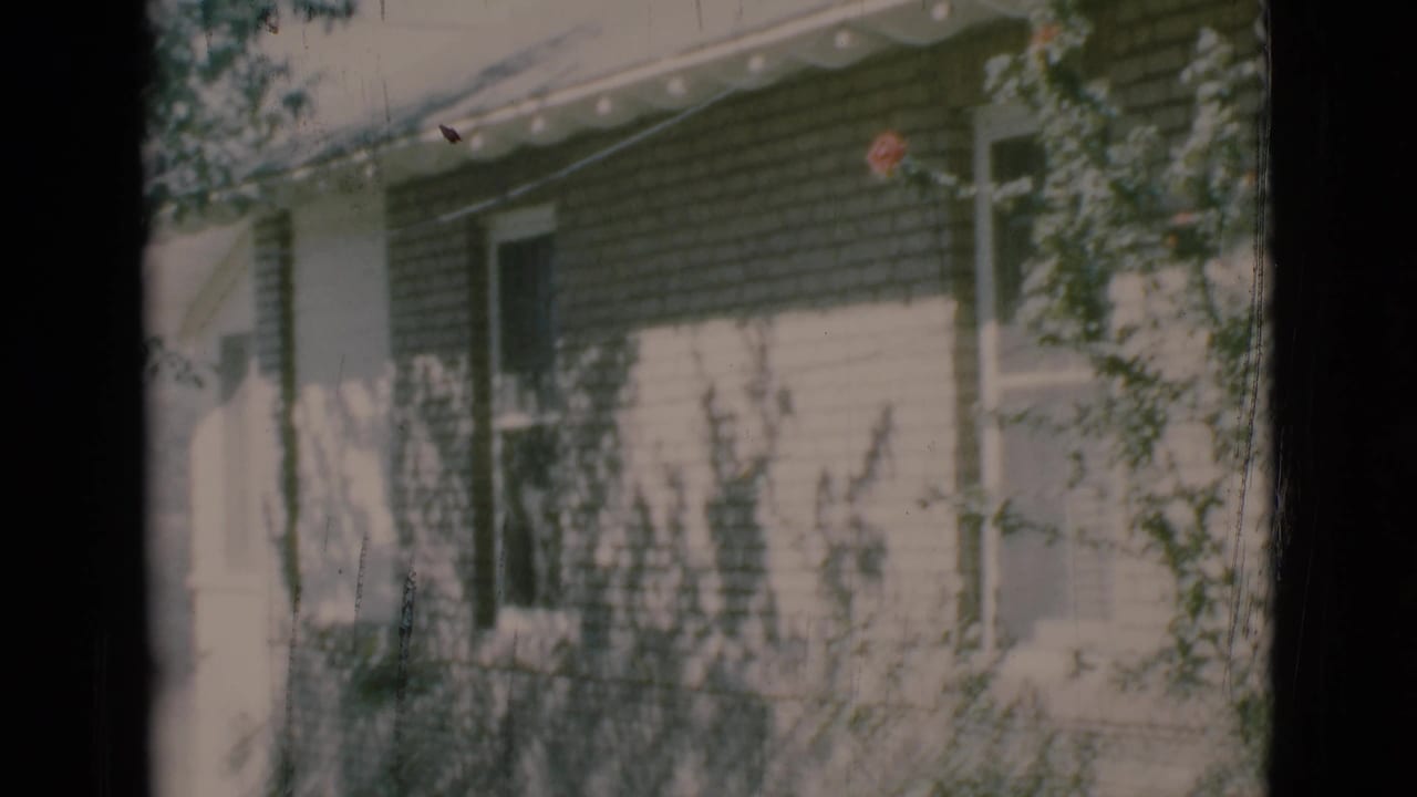 Brick house exterior with white trim, roof eaves, shrubs, and tree shadows.
