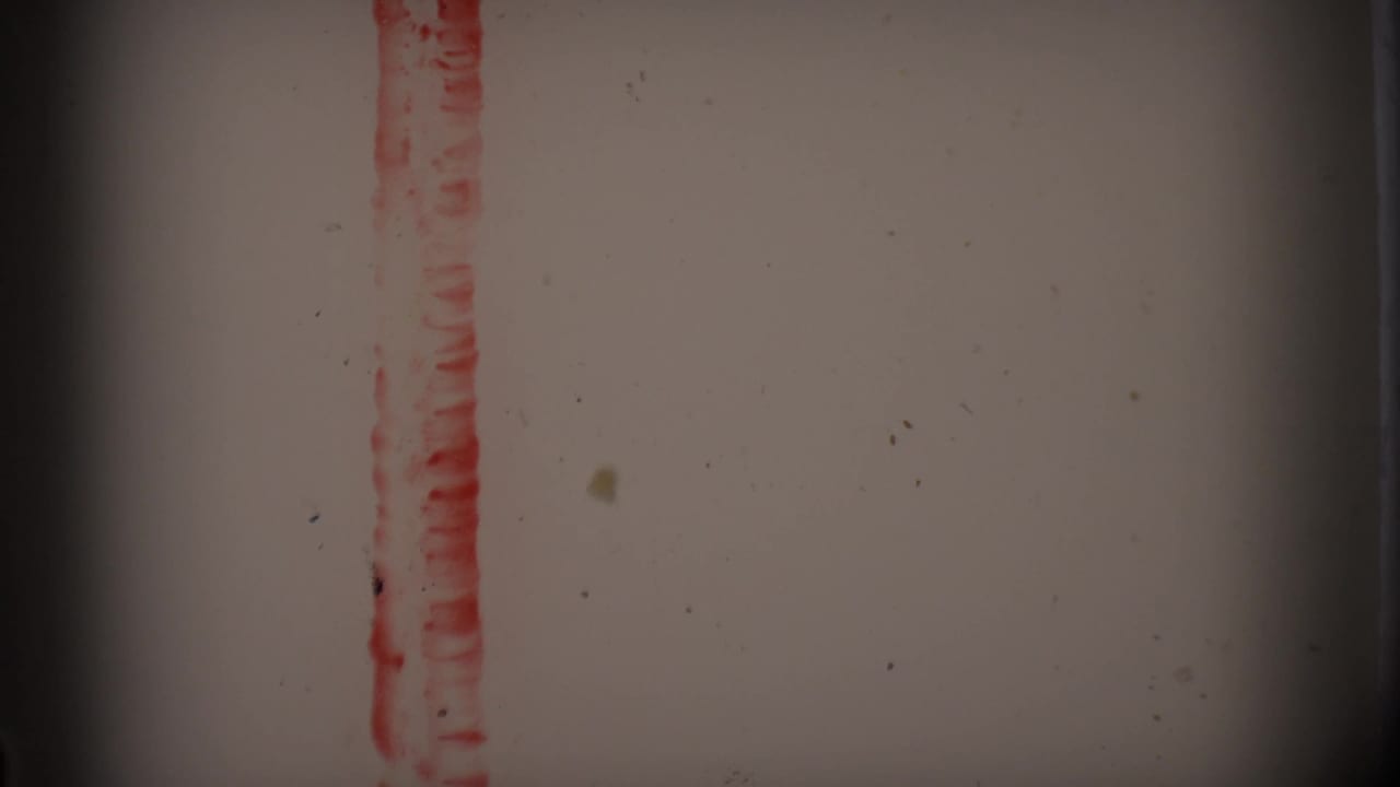 Red vertical leader mark on pale film with dust and dark edge vignetting.