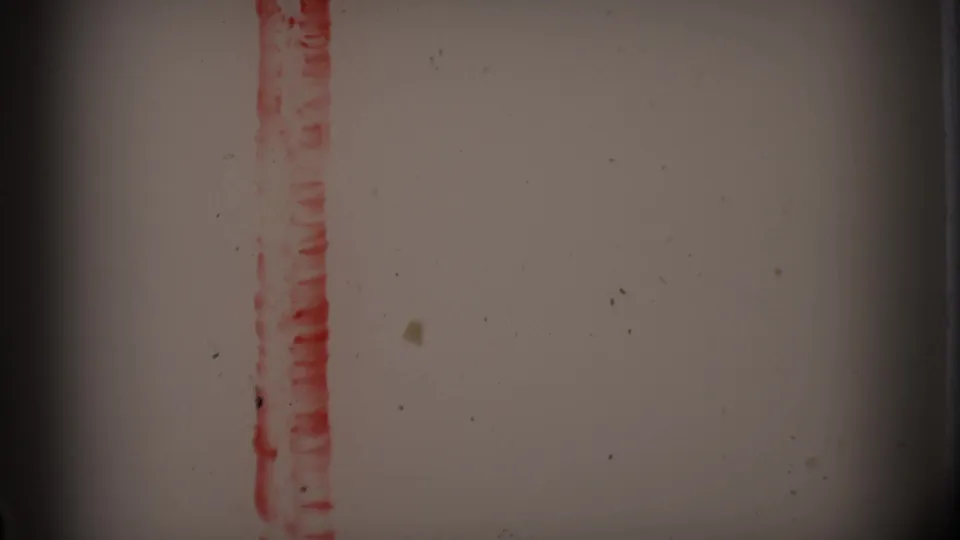 1960s 8mm film leader or blank roll section with a red vertical mark, pale exposure, dust specks, and darkened edges.