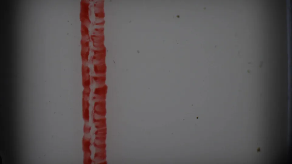 Close view of a red vertical leader strip on pale 8mm film, with visible grain, dust, and edge vignetting.
