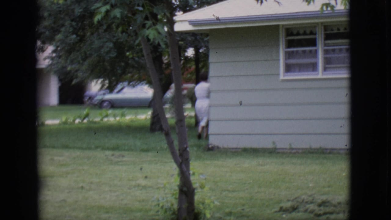 Grassy yard with trees, house siding, and a parked car in the background.